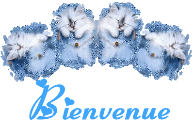 sur mon blog